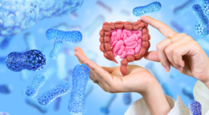 ibs & gut health using kinesiology