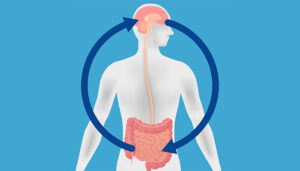 gut health stress connection