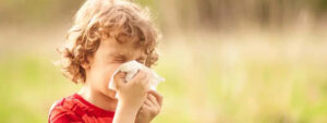 hayfever relief
