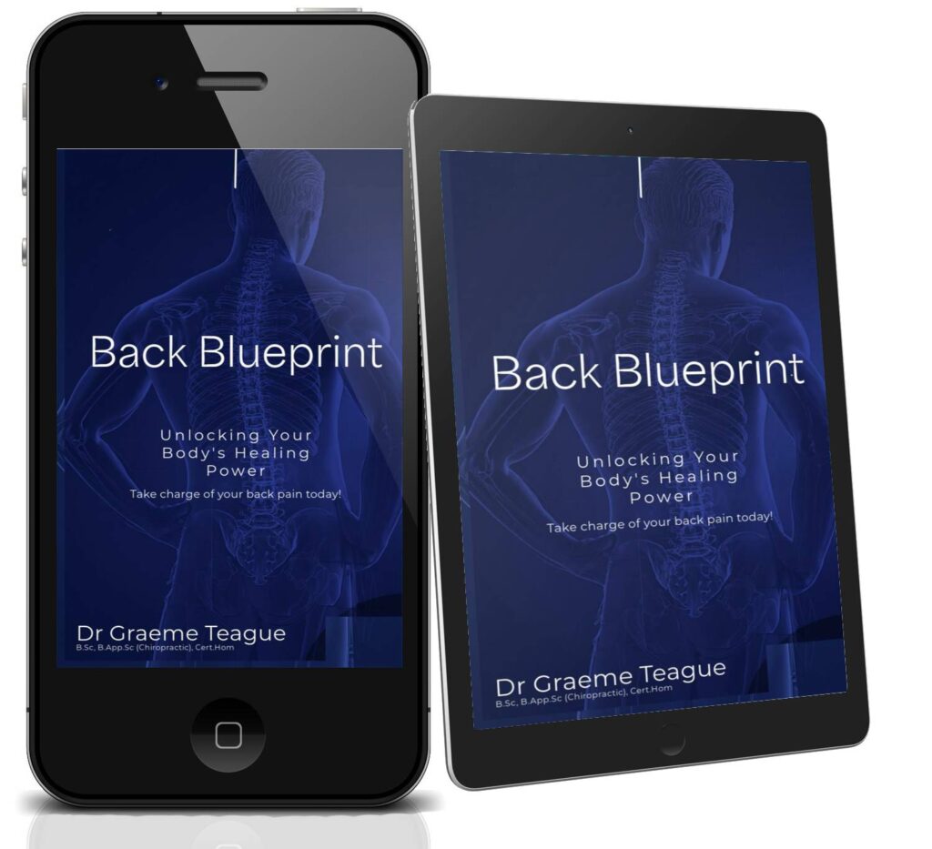 Back Blueprint